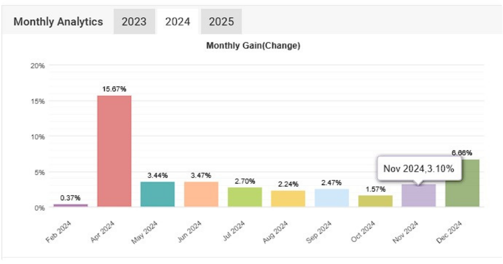 Guadagno mensile 2024, mese per mese